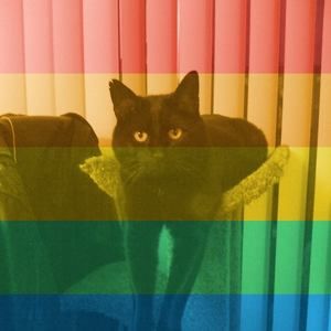 Meet your Posher, Wobblet